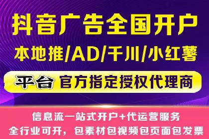 百度SEO推广案例解析与效果评估